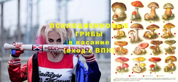 МДПВ Майский