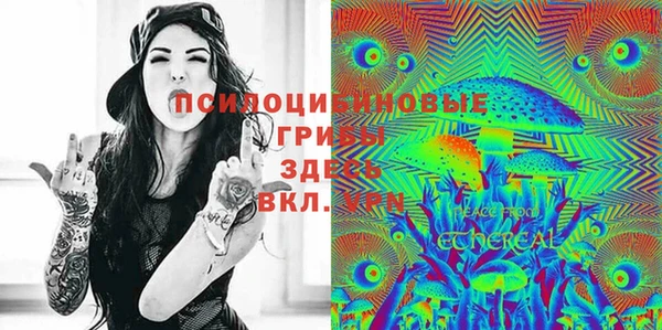 МДПВ Майский
