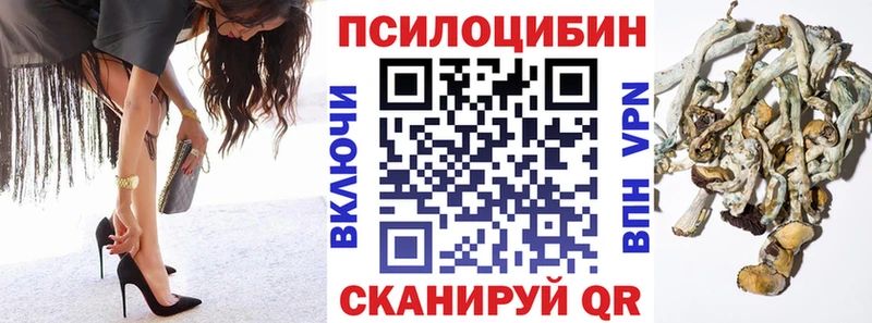 Галлюциногенные грибы MAGIC MUSHROOMS  Купить закладки  Нолинск 